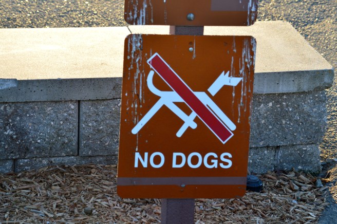 No Dogs Allowed posted at every entrance to the park.  Spent the entire time dodging petrified dog poop.