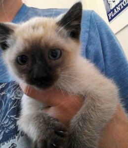 Frankie's First Portrait